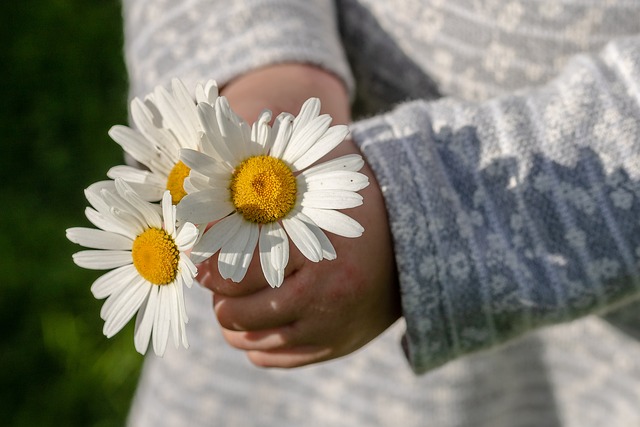 happy-mothers-day-g5dbb47eae_640 Не е важно