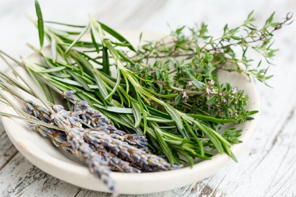 herbs-g37bea61ca_640 мащерката