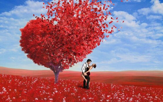 love-g4a7a1ecb7_640