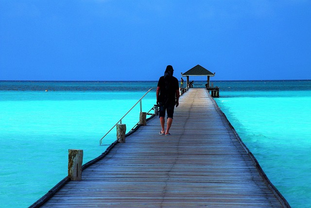 maldives-g40cfdca67_640 той
