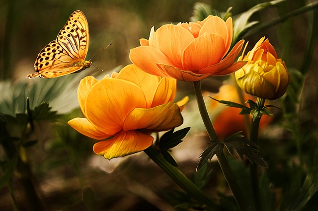 flowers-g3b3ea5b88_640
