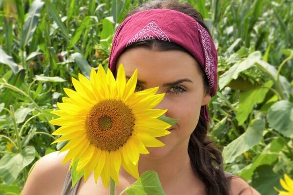 sunflower-2699771_640