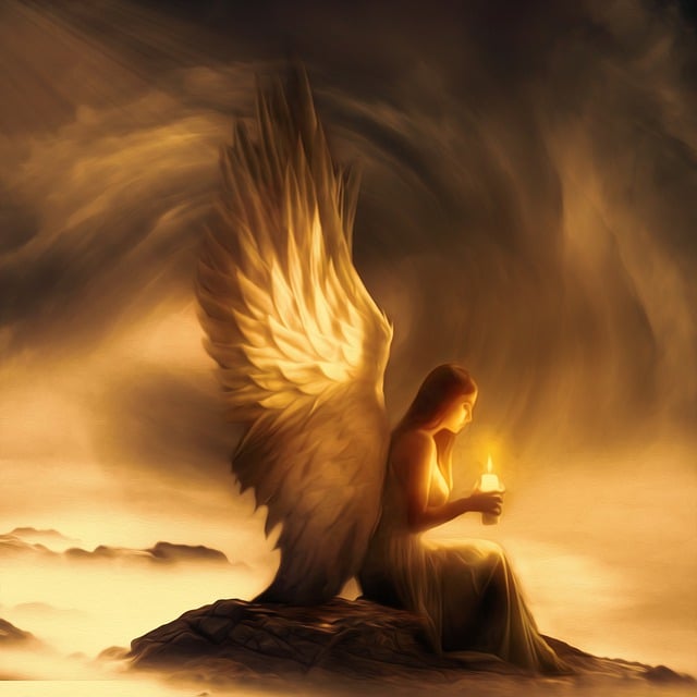 wing-7018465_640