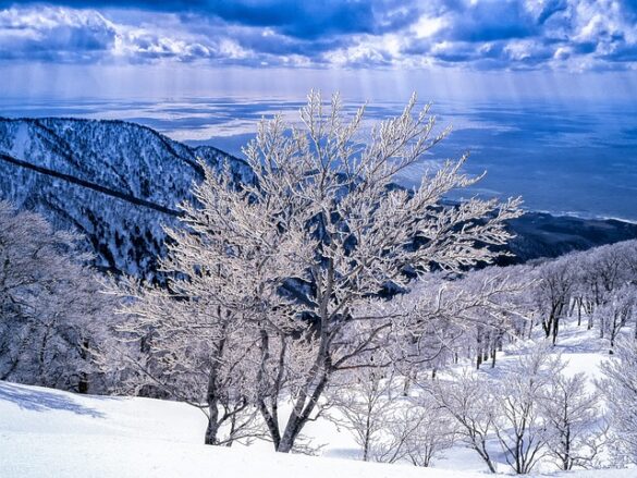 landscape-2221277_640 хороскоп за уикенда