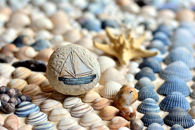 shellfish-3504273_640