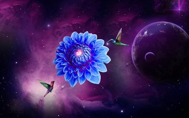 illusion-x-dahlia-7526562_640
