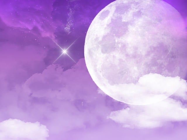 purple-1435145_640